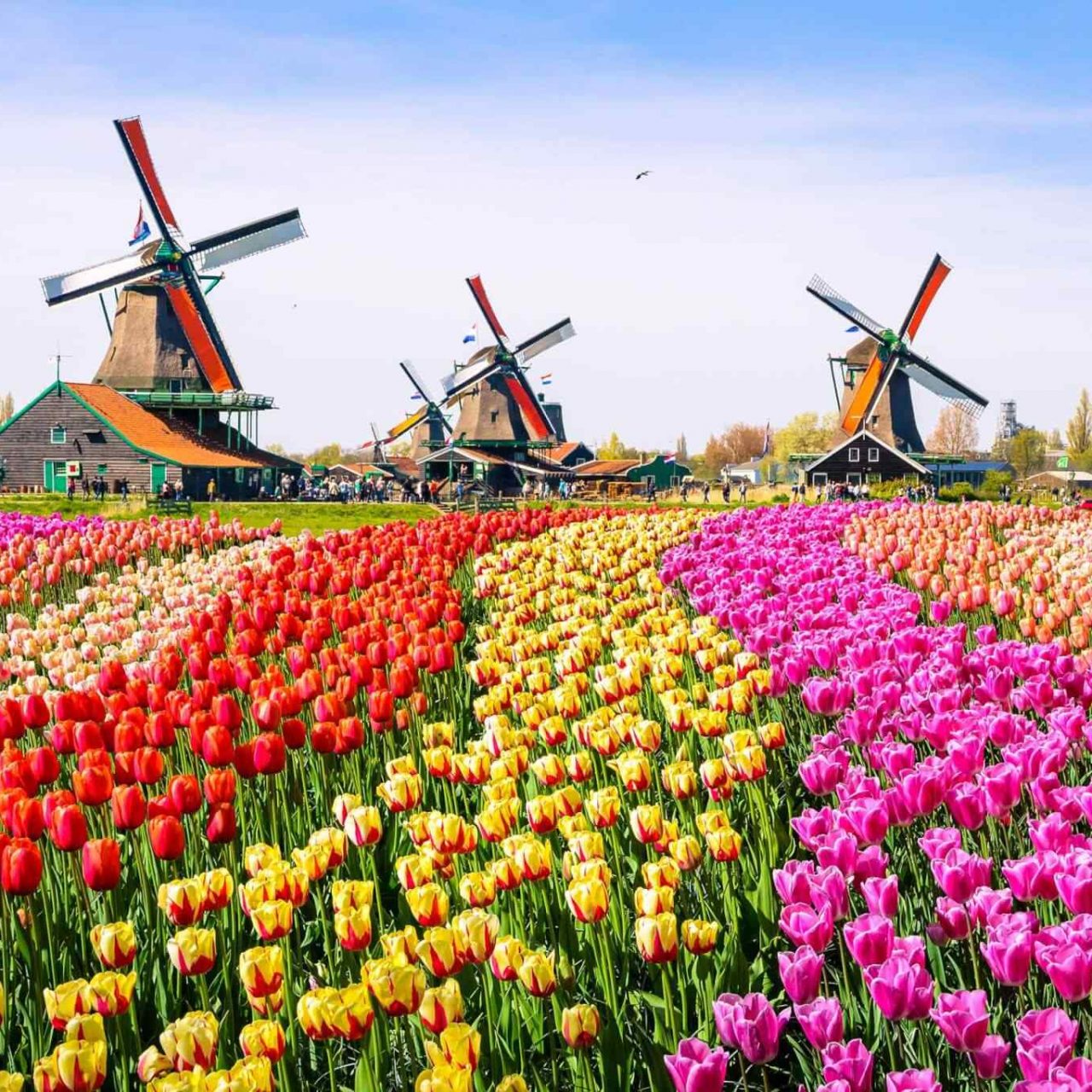 https://newhorizon-travel.com/wp-content/uploads/2018/09/destination-netherlands-01-1280x1280.jpg