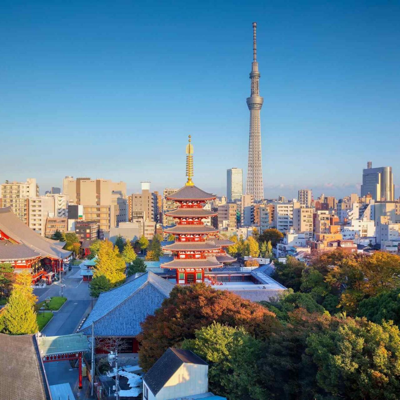 https://newhorizon-travel.com/wp-content/uploads/2018/09/destination-tokyo-04-1280x1280.jpg