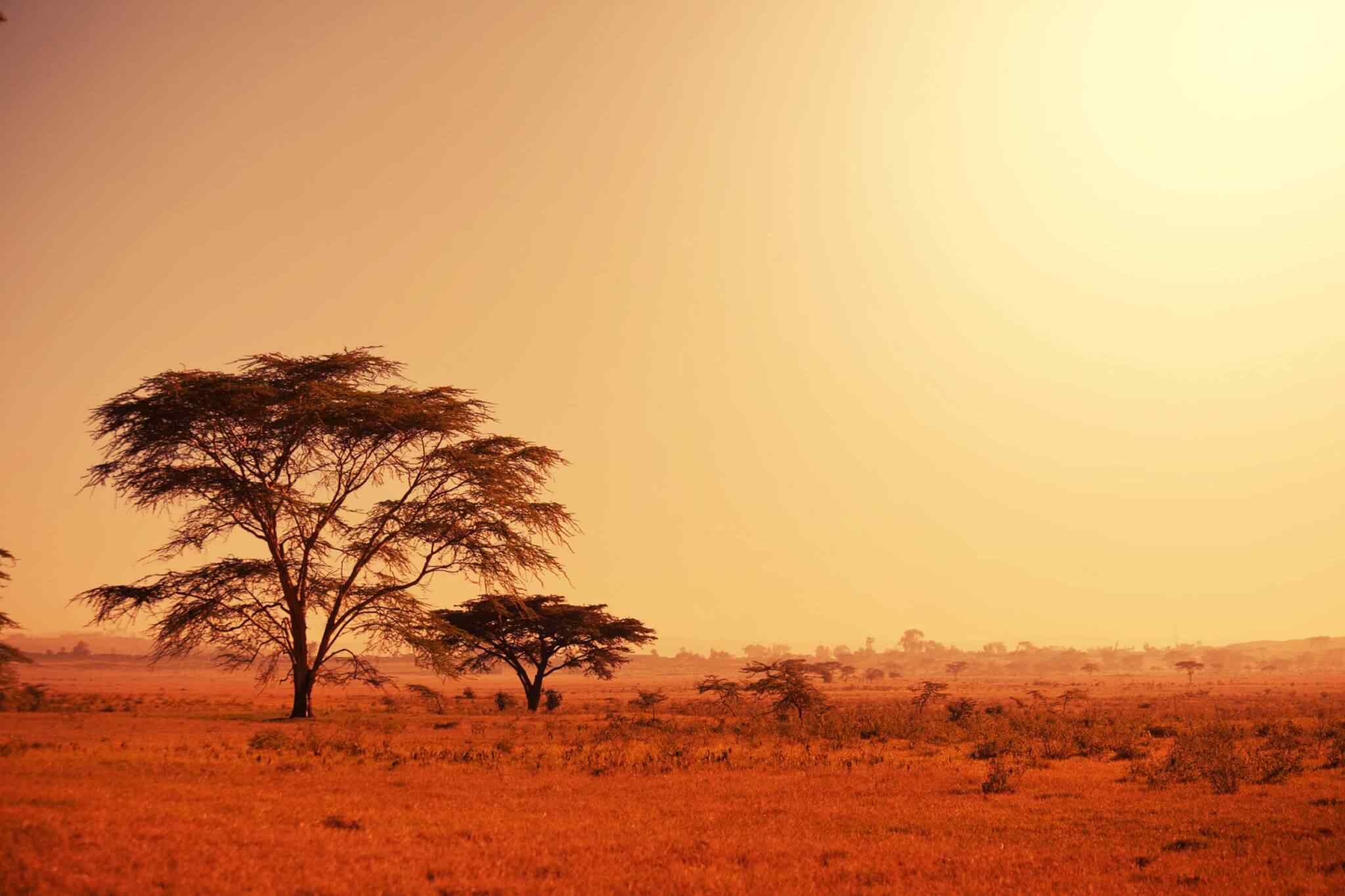https://newhorizon-travel.com/wp-content/uploads/2018/09/tour-africa-02.jpg
