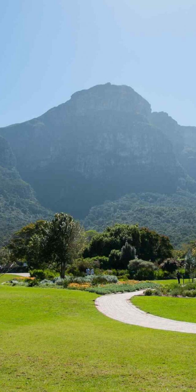 https://newhorizon-travel.com/wp-content/uploads/2018/09/tour-capetown-03-640x1280.jpg