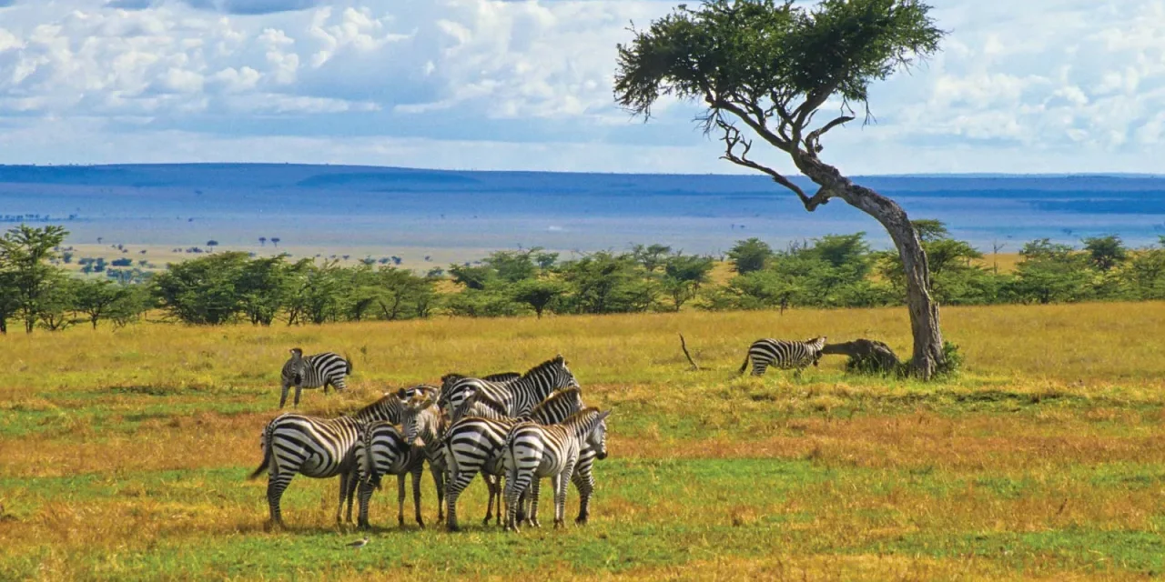 TOUR KENYA: THIÊN ĐƯỜNG HOANG DÃ CHÂU PHI
