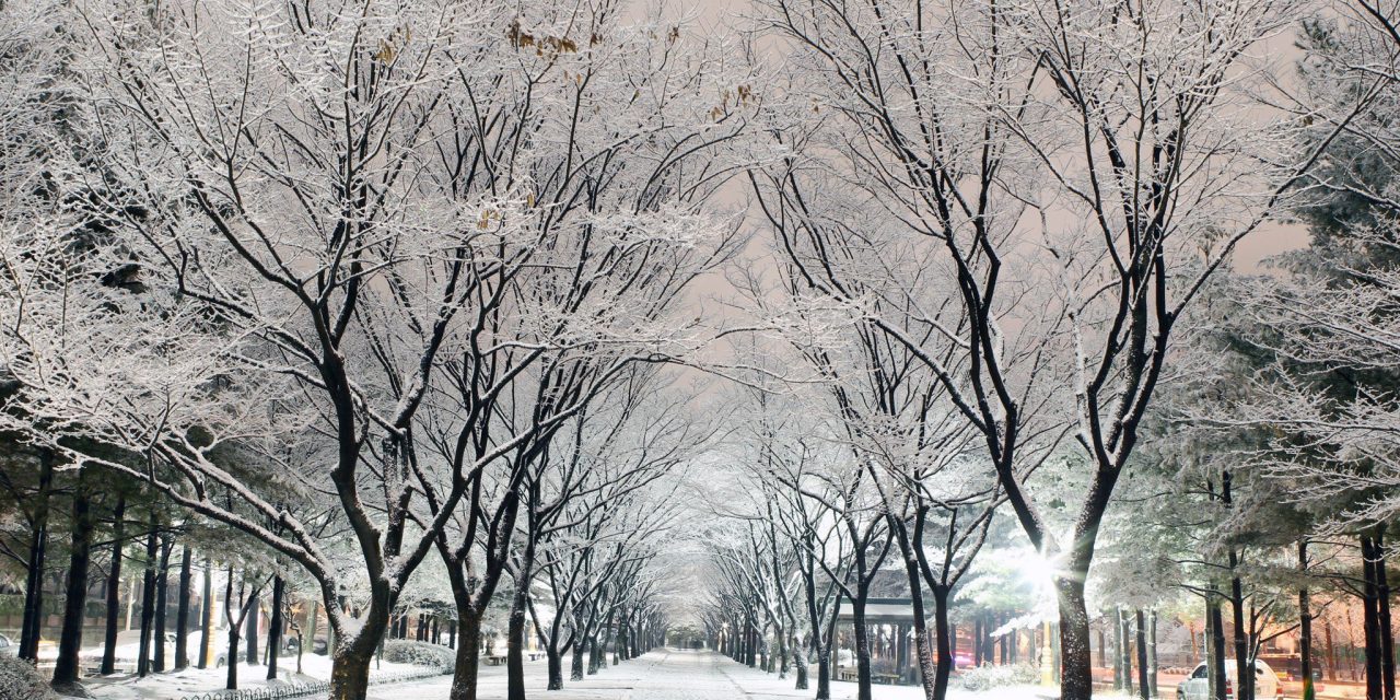 TOUR MÙA ĐÔNG HÀN QUỐC: SEOUL – NAMI ISLAND – TRƯỢT TUYẾT – LOTTE WORLD